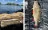 Zander Gummifisch 5STK Inzite Shad Classic Brownie 12cm_auswahl6