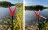 Zite Fishing V-Rutenhalter inkl. Schnurlaufkerbe aus Glasfaser 75 cm_auswahl4