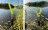 Zite Fishing Teleskop-Rutenhalter inkl. Schnurlaufkerbe 0,75-1,35 m_auswahl6
