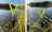 Zite Fishing Teleskop-Rutenhalter inkl. Schnurlaufkerbe 0,75-1,35 m 3 Stück_auswahl6