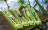 Zite Fishing 1x Stipprute 8m + 1x Fertigangel Set_auswahl6