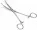 Zite Fishing Spinnkescher Faltbar Schwarz 113cm + Hakenlöser Zange Gebogen 18cm_auswahl6