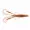 Zite Fishing Creature Bait Frosty Champagne 36 Stück_auswahl2