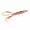 Zite Fishing Creature Bait Frosty Champagne 36 Stück_auswahl4