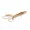 Zite Fishing Creature Bait Frosty Champagne 36 Stück_auswahl5