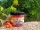 Forellen Marshmallows Käse Orange 40g Troutmallows Zite Fishing_auswahl8