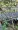 Feederrute Angeln Steckrute mit Wechselspitzen 3,30m 20-120g Zite Fishing_auswahl6