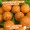 Zite Fishing Angelfutter Set 16mm PopUp, 20mm Boilies, 1 kg Grundfutter + und 500ml Liquid in intensivem Vanillearoma_auswahl6