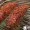Zite Fishing Stremel Spicy BBQ 250 g Räuchergewürz zum Fische Räuchern_auswahl5