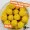 Zite Fishing 16mm Pop Up Süßer Mais Aroma_auswahl4