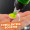 Zite Fishing Bait Smog UV-Aktiv Vanille/Honig Fluo orange 50 ml - Lockmittel für Karpfenköder_auswahl4