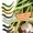 Curly Viper Allround Mix Knoblauch 6,5 cm Rotationsköder Forelle 8 Stück_auswahl6