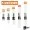 Zite Fishing Forellengläser 3-9g Glasgewichte fürs Forellen-Angeln 5 Stück _auswahl1