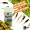 Wiggle Worm Allround Gummiwurm Forelle Mix Käse Aroma 5,5 cm 10 Stück_auswahl1