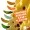 Mighty Mag Bienenmade Allround Mix Käse Gummiköder Forelle 2,8 cm 12 Stück_auswahl6