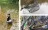 Zite Fishing Watkescher Gummiert mit Karabiner-Band_auswahl6