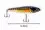 Jerkbait Set 3 Stück Hecht Köder 12,5-15cm Zite Fishing_auswahl4