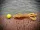 Cheburashka Wechsel-Bleie Bunt Farbig 5-14g Set in Box Zite Fishing_auswahl5