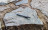 Hair Rig & Karpfen Montagen Knotenbinder Tool als Angelwerkzeug Zite Fishing_auswahl5