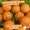 Boilies 20mm Tigernuss Aroma Karpfenköder 1kg Zite Fishing_auswahl3