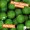 Boilies 20 mm Karpfenangeln Köder Muschel Aroma 1kg Beutel Zite Fishing_auswahl4