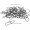 Karabiner Snaps Angelwirbel Gr. 000# 4 kg 30 Stück Zite Fishing_auswahl2