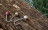 Tungsten Jigköpfe Forelle Metallic 0,3-1,2g 9 STK UL Forellenhaken Zite Fishing_auswahl6