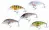 Crankbait Hardbait Wobbler Set 8 Stück Zite Fishing_auswahl1