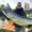 Zite Fishing Köderfisch Hecht System L für Köderfische 14 - 20 cm - Raubfisch Fertigmontage _auswahl5