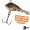 Sping Jigs Sortiment 5-15g 3D Natur Jigspinner Barsch Zander Köder mit Köderbox_auswahl4