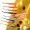Zite Fishing Slinky Snake Schock Mix Käse 8 cm 8 St. Schlangenförmig Gummi_auswahl6