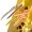 Zite Fishing Twerky Tailer Shiny Mix Käse 7 cm 8 STK 3in1 Gummiköder Forelle_auswahl6