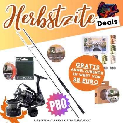 Barsch Pro Komplettset - Inzite Pro Stick Perch, Spinnig Reel Pro 2000, Angelschnur & GRATIS Zubehör 