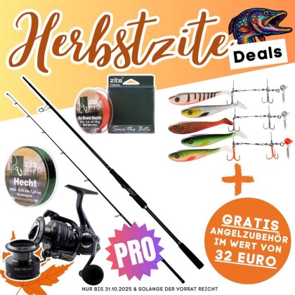 Hecht Pro Komplettset - Inzite Pro Stick Hecht, Spinnig Reel Pro 4000, Angelschnur & GRATIS Zubehör