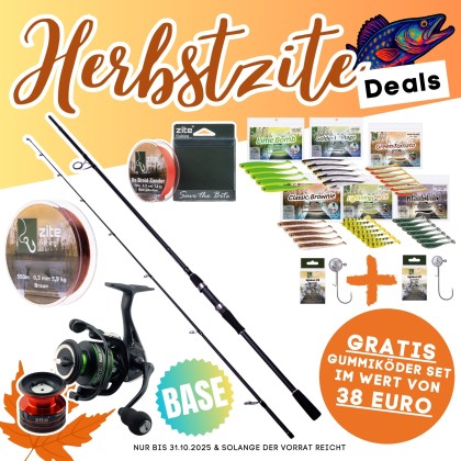 Zander Base Komplettset - Inzite Base Stick Zander, Spinnig Reel Base 3000, Angelschnur & GRATIS Gummiköder + Jighaken