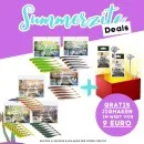 Gummifisch Starterset - Inzite Shad & Pershad je 3 Farben Gummiköder-Kombi für Zander & Barsch inkl. GRATIS Jighaken 