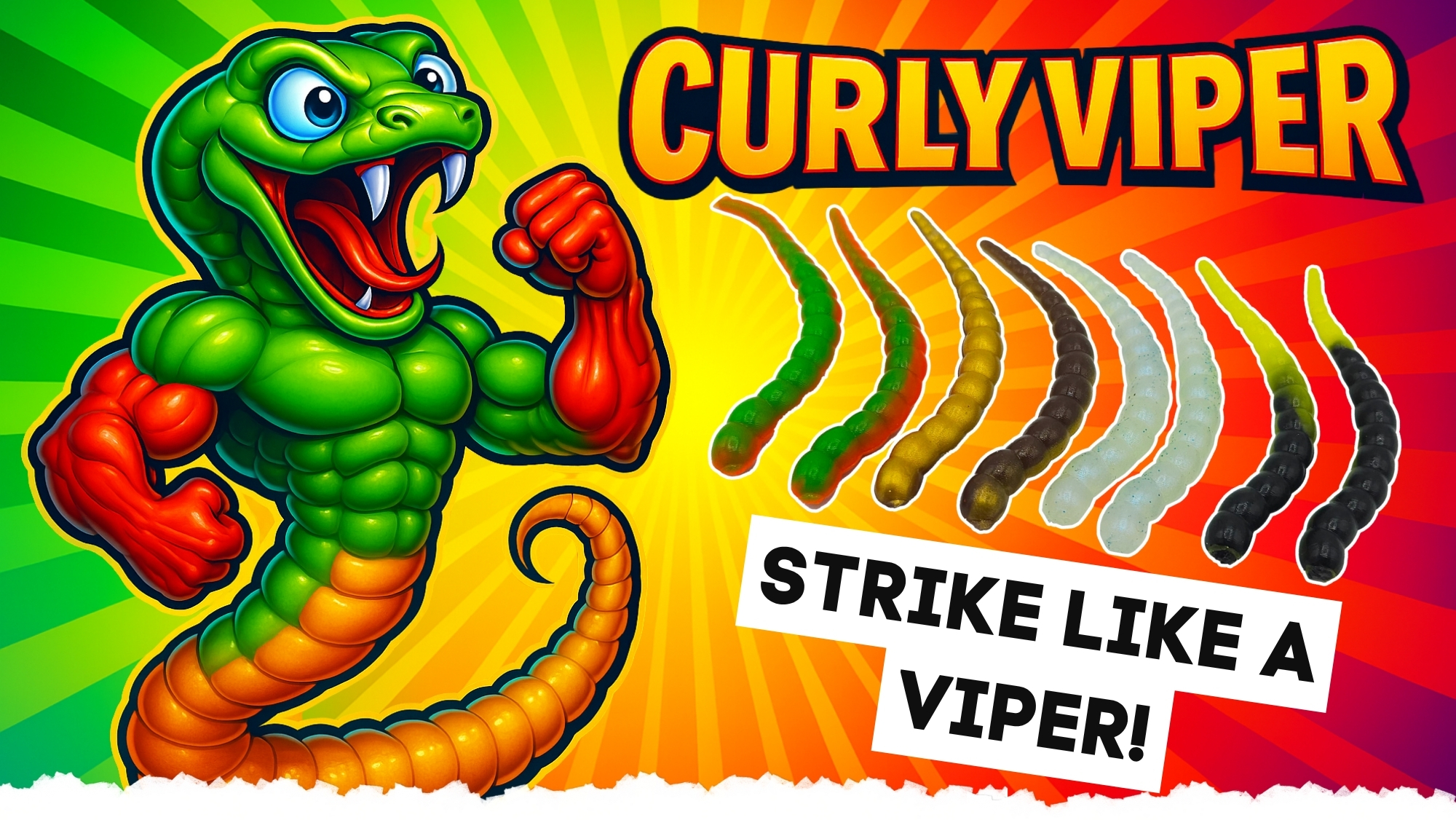Curly Viper