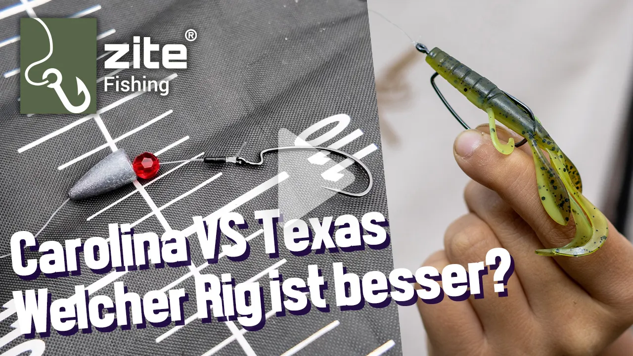 Carolina VS Texas Rig - Welcher ist besser?! Teamangler Tim erklärt!