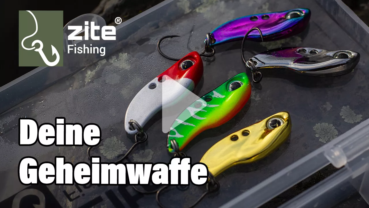 Mit Zikaden zum Forellenkönig! - Wir zeigen dir was dieser kleine Köder alles kann!
