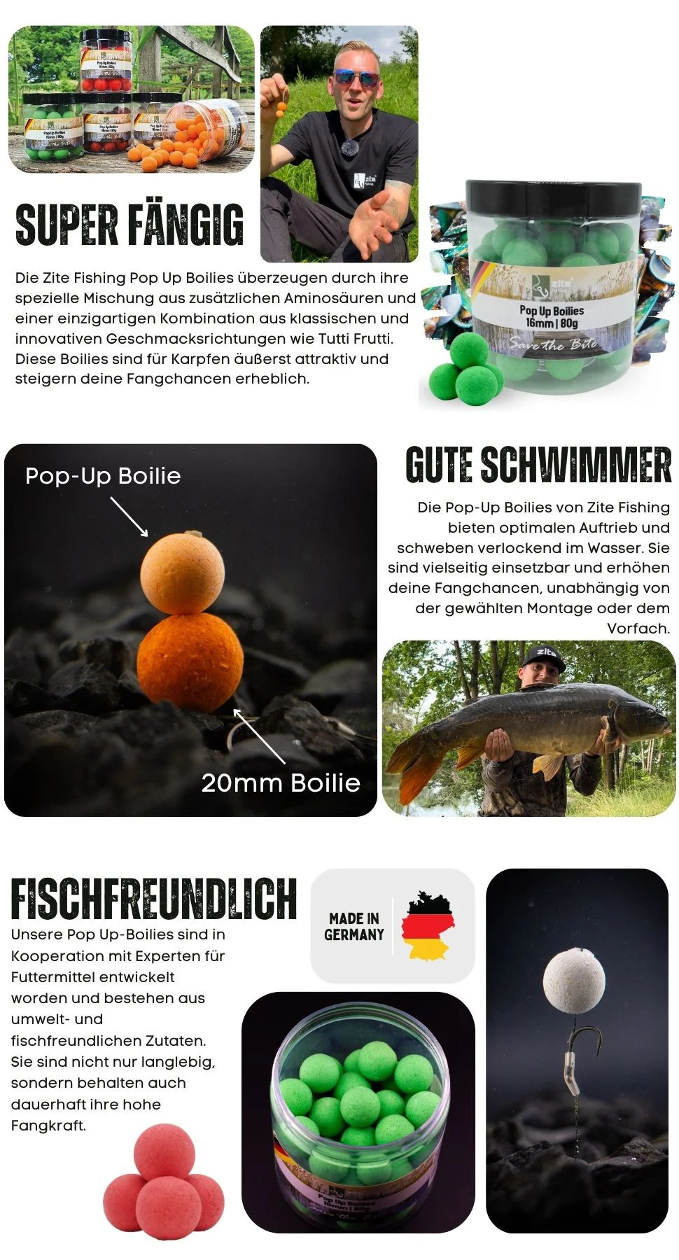 16mm Pop-Up Boilies mit Muschelaroma von Zite Fishing - Detaillierte Übersicht