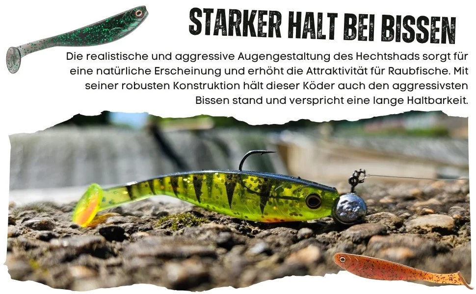 Gummifisch Starterset - Inzite Shad & Pershad je 3 Farben Gummiköder-Kombi für Zander & Barsch inkl. GRATIS Jighaken - Detaillierte Übersicht