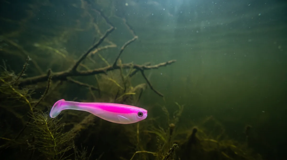 Zite Fishing Inzite Pershad Pink Blush Gummiköder 8 cm – 7 Stück Softbait für Barsch, Zander & Hecht - Detaillierte Übersicht