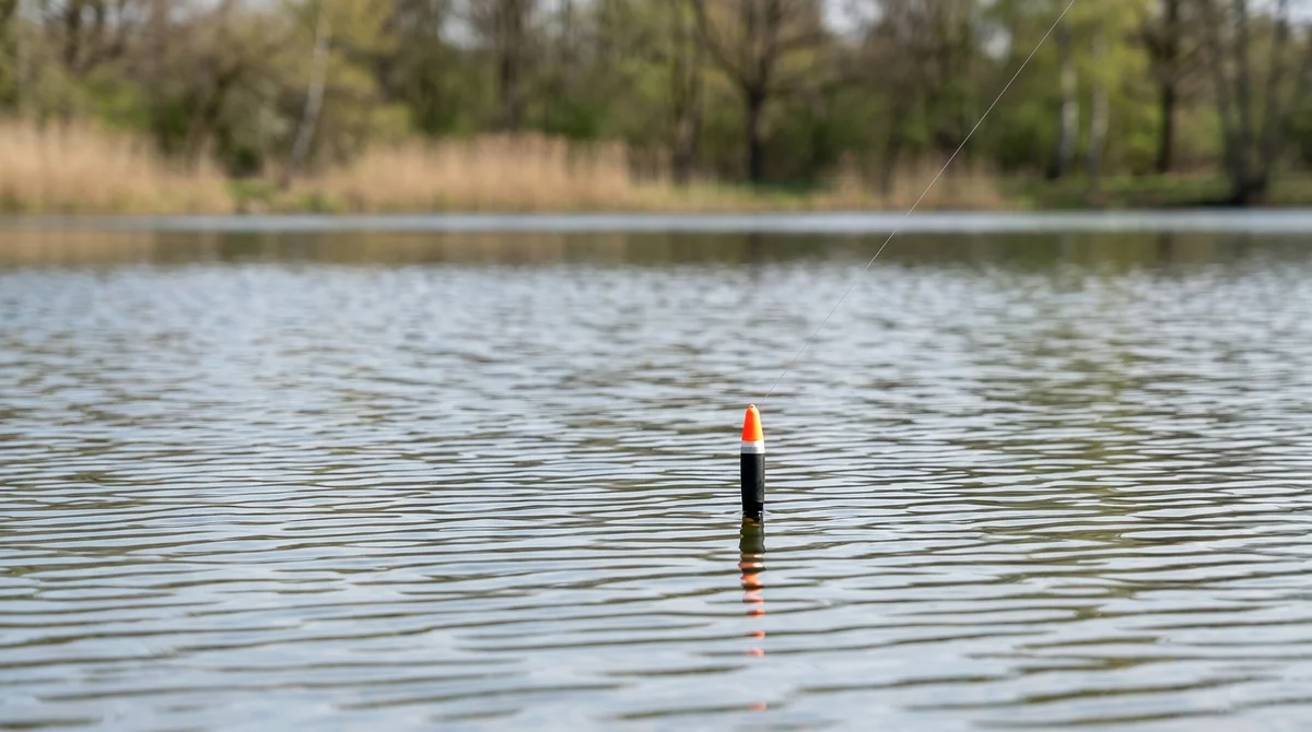 Zite Fishing Schlepp-Posen 3er Set 2g 3g 4g – Forelle & Hecht Laufposen Schleppangeln - Detaillierte Übersicht