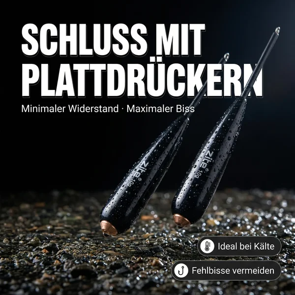 Zite Fishing Bodendetektor Posen 10 g 2 Stück  - Schluss mit Plattdrückern
