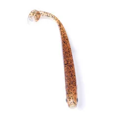 Zite Fishing Gummifisch classic brownie 15 Stück - Praktische Rückentasche