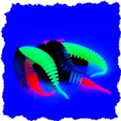 Zite Fishing Biggle Worm Allround Mix Käse 6,5 cm 8 Stück - Teils UV-Aktiv
