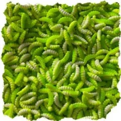 Mighty Mag Bienenmade Allround Mix Knoblauch Gummiköder Forelle 2,8 cm 12 Stück - Nachhaltige Produktion