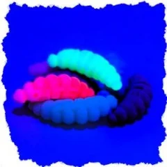 Zite Fishing Mighty Mag Schock Mix Floating Edition Knoblauch 2,8 cm 12 Stück - Teilweise UV-Aktive Farben