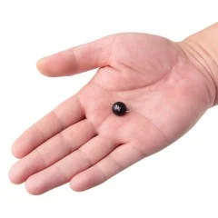 Zite Fishing Tungsten Cheburashkas 2x 14g - Langlebige Gestaltung