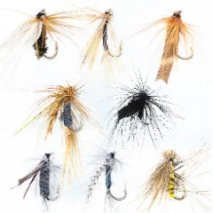 Zite Fishing Trockenfliegen Fliegenfischen Köder Set 8 Stück - 8er-Set